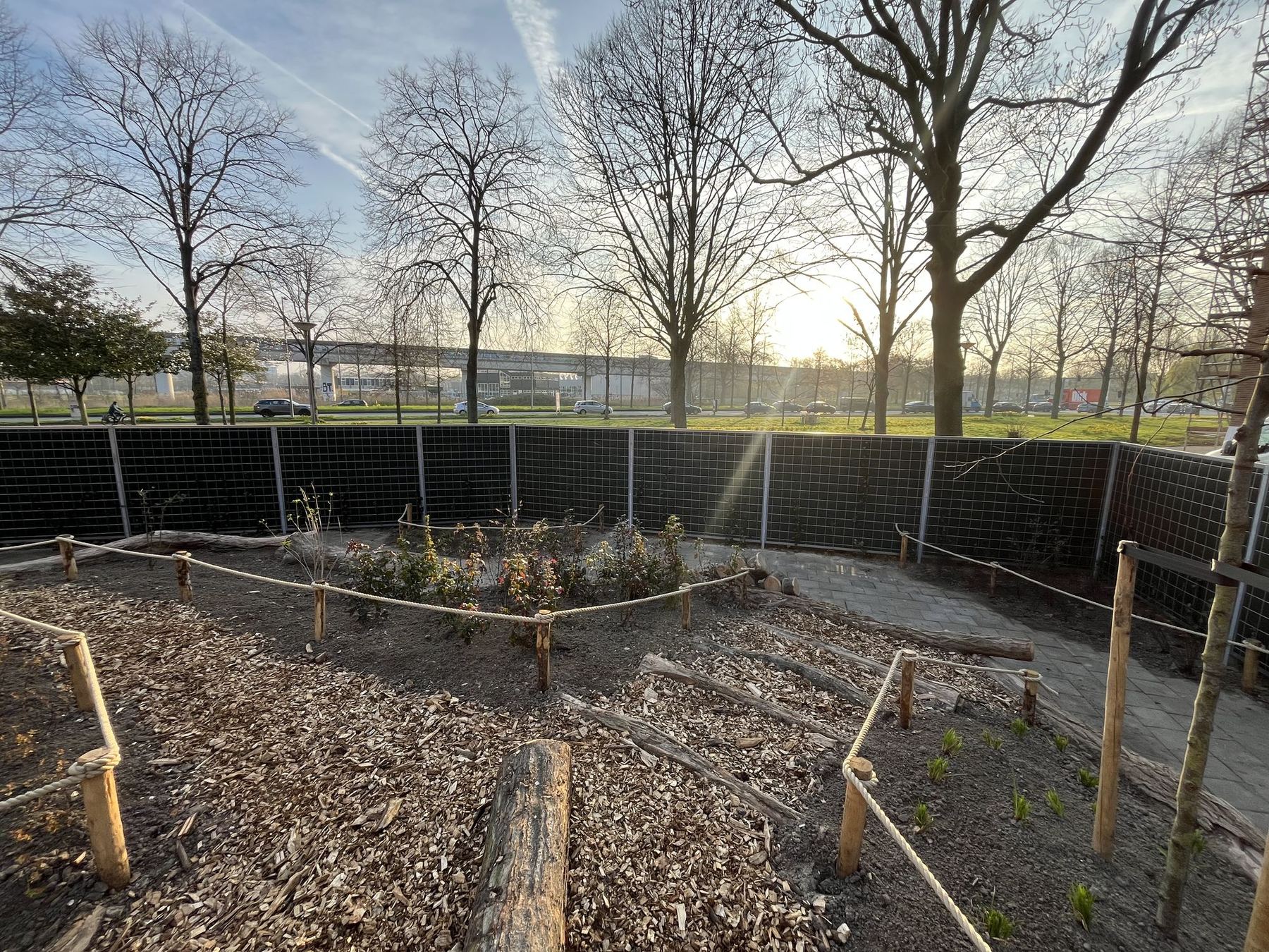 Nieuwe borders langs de erfafscheiding van het schoolplein in Rotterdam